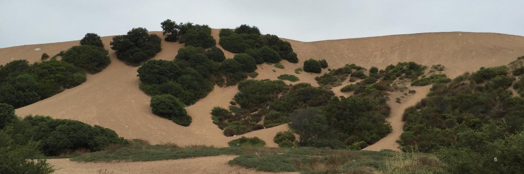 Dunas De Concón